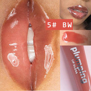 Moisturizing Gloss Plumping Lip Gloss