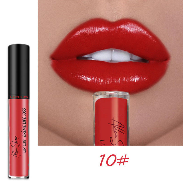 Sexy Women Lipstick Waterproof Long Lasting Moist Lip Gloss